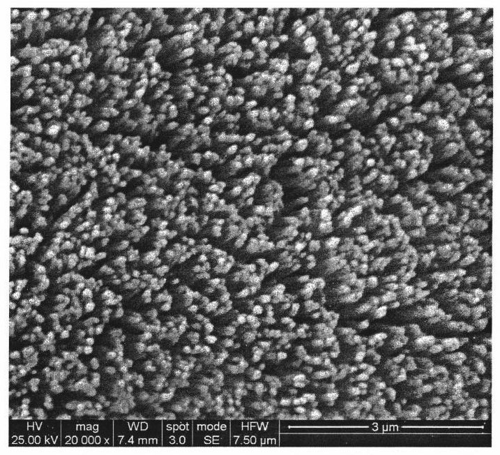 Rutile TiO2 nanowire array synthesized by soft chemistry and hydrothermal technology and preparation method thereof