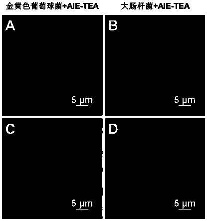 Photosensitizer integrating bacterial fluorescence imaging and photodynamic sterilization, preparation method and applications thereof