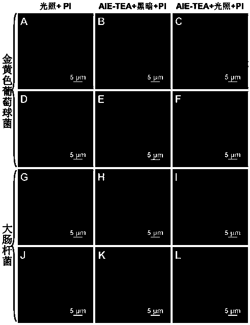 Photosensitizer integrating bacterial fluorescence imaging and photodynamic sterilization, preparation method and applications thereof