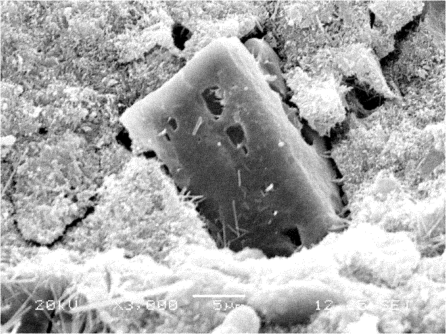 Magnesium oxychloride cement aggregate and preparation method thereof