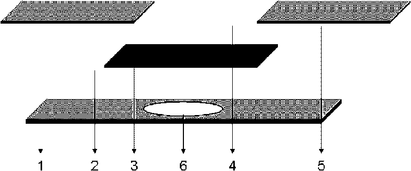 Test strip for testing psychrophiles in chilled foods and preparation method thereof