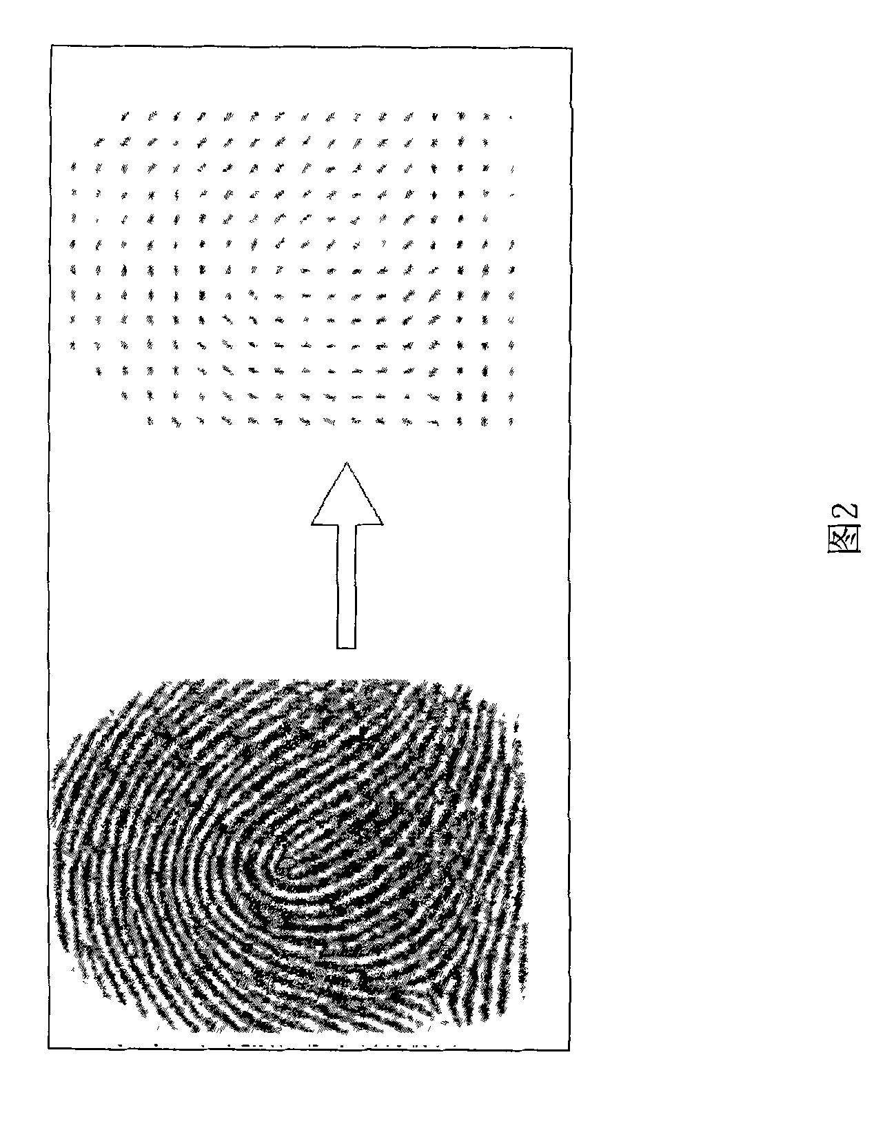 High-efficiency fingerprint image processing method