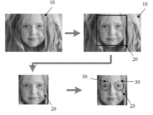 Method for controlling screen luminance of display terminal and display terminal of method