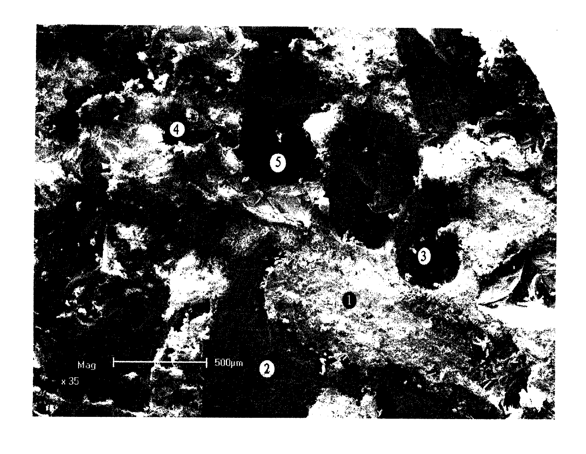 Cast silicon carbide composite material and preparation method thereof