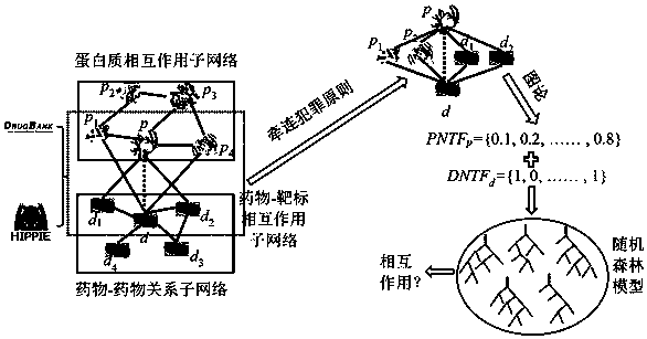 A Drug-Target Interaction Identification Method Based on the Principle of Implications and Network Topological Structure Features