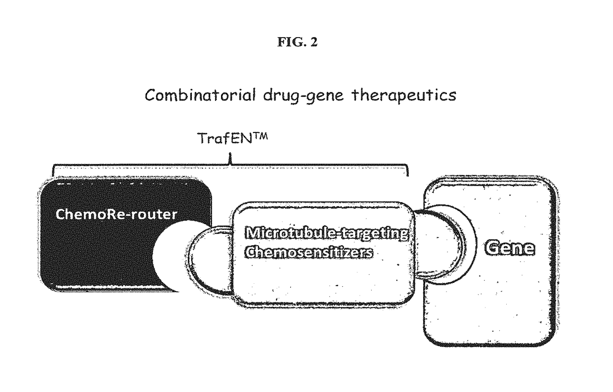 Reagent for gene-drug therapeutics