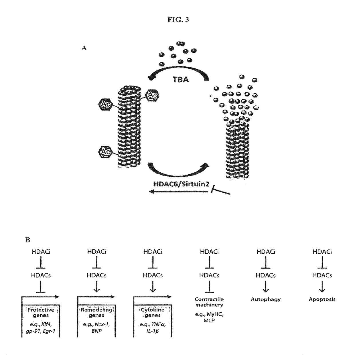 Reagent for gene-drug therapeutics