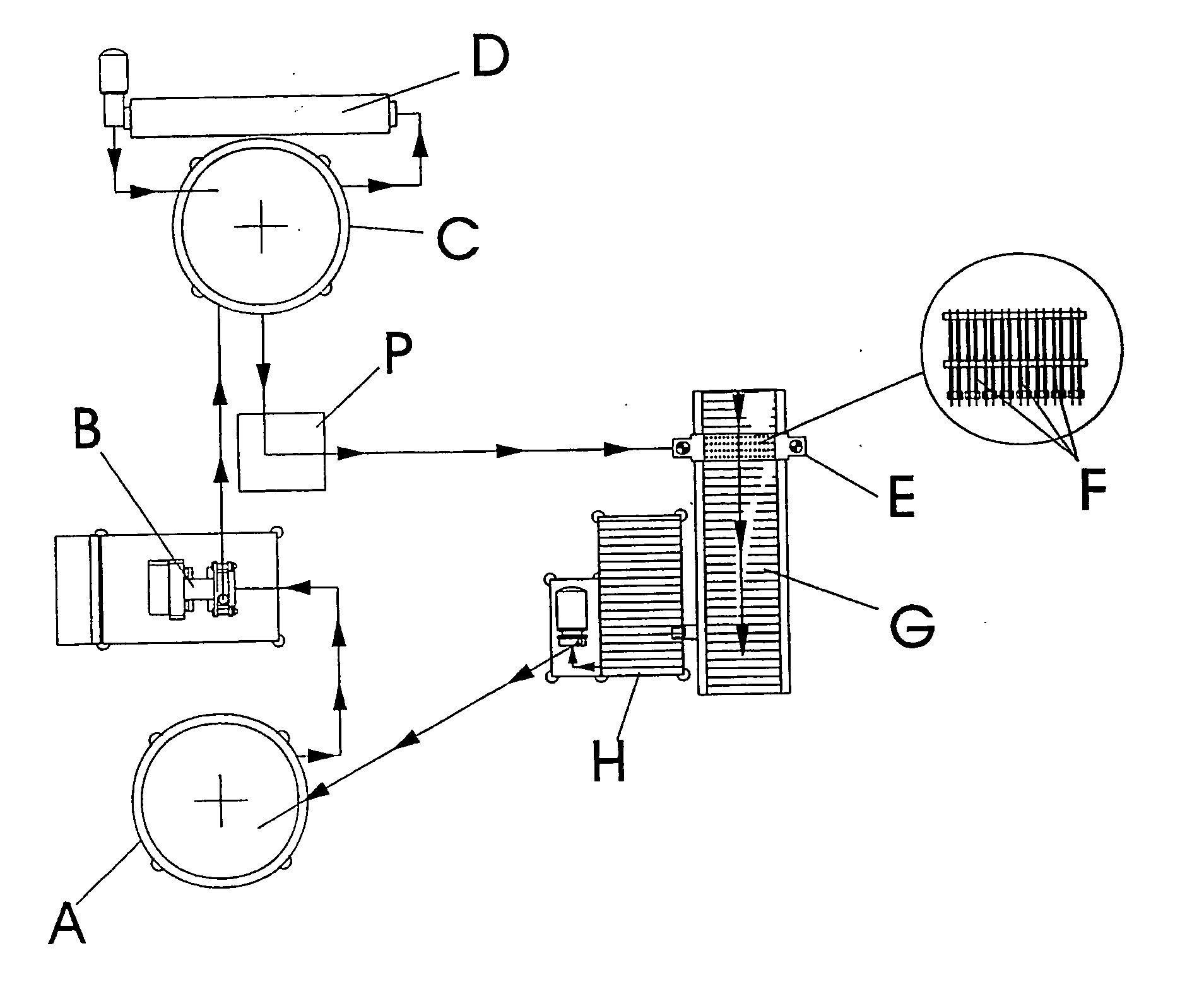 Process for injection of particles in food