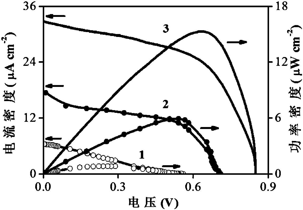 Method for constructing photo-assisted fuel cell by using electrocatalyst nickel oxide and application thereof in pollutant bisphenol A degradation