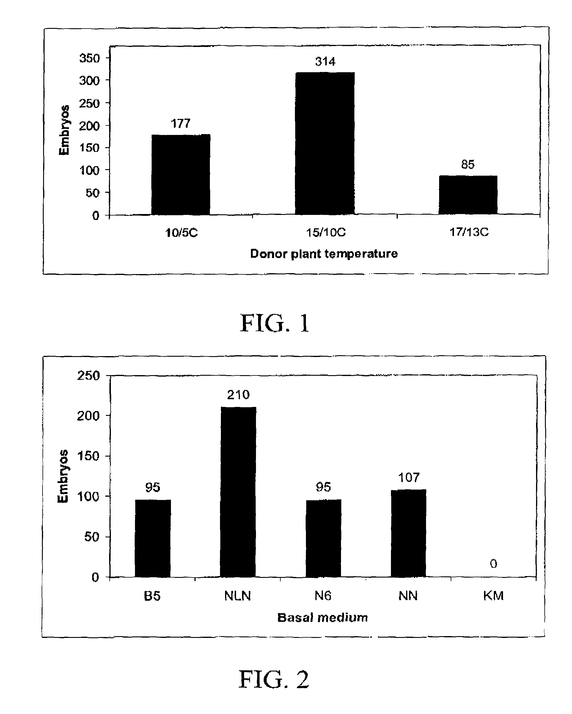 Methods for producing microspore derived doubled haploid apiaceae