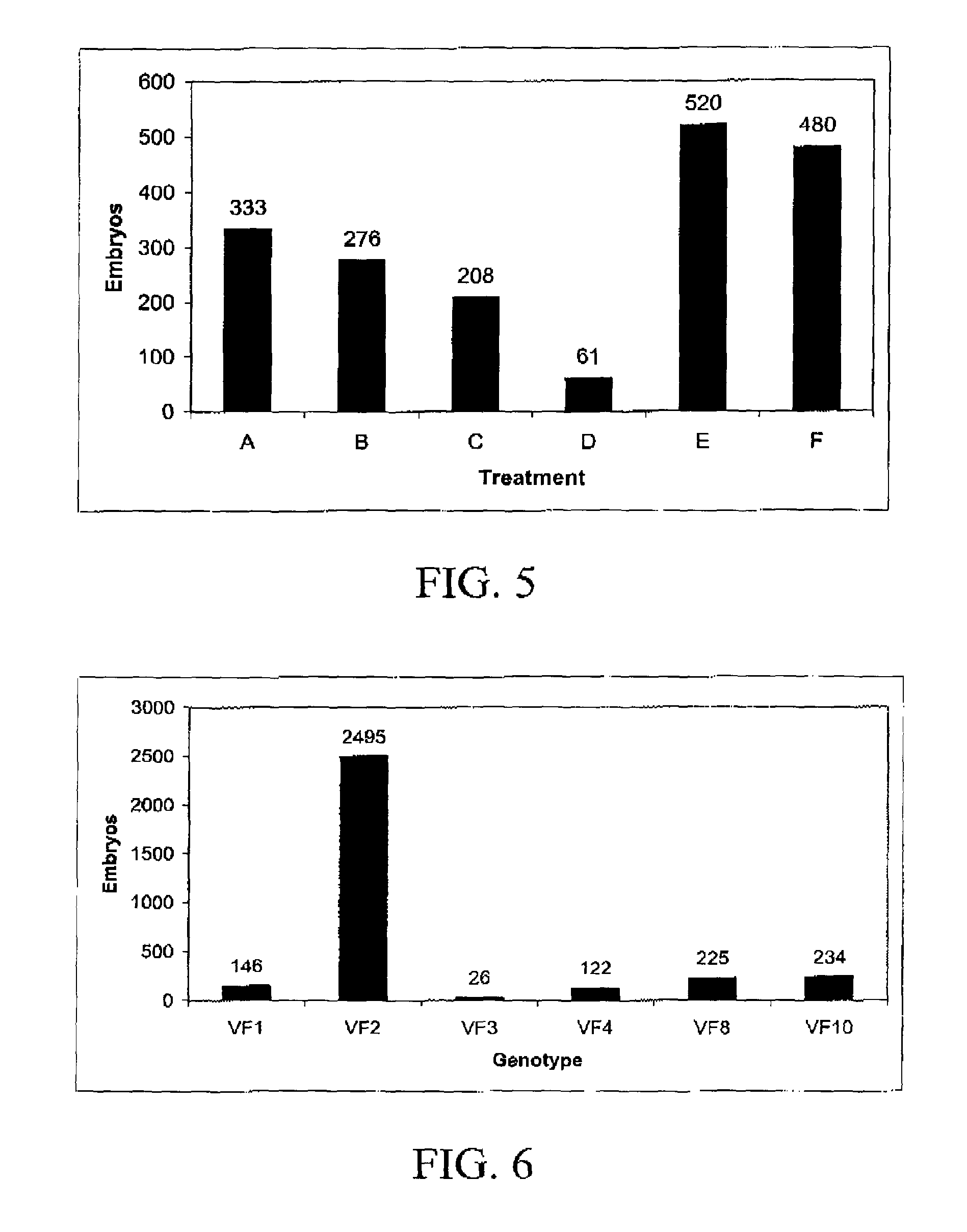 Methods for producing microspore derived doubled haploid apiaceae