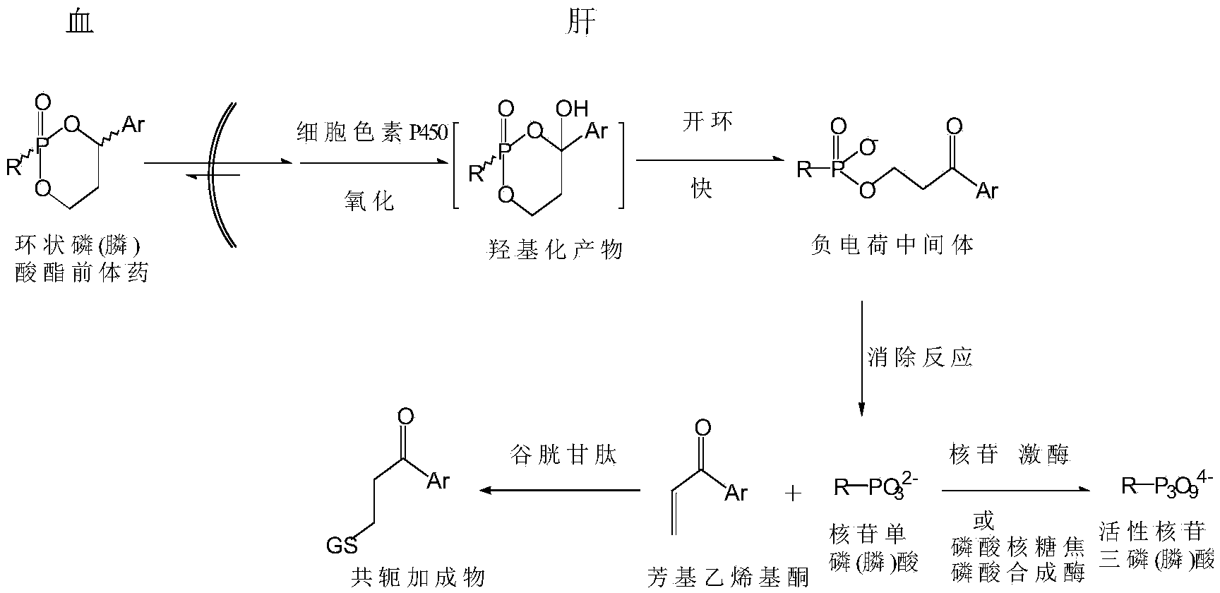 Cyclic nucleoside phosphate compound and preparation method and application thereof