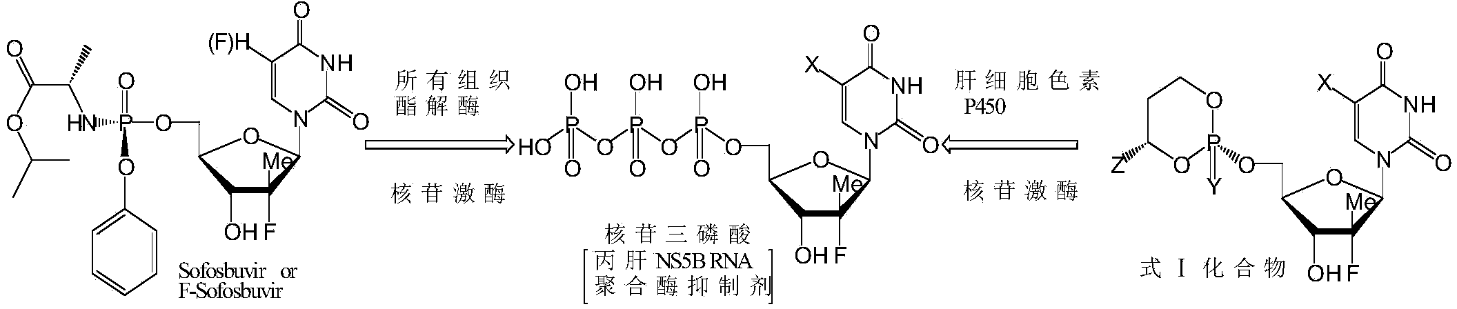 Cyclic nucleoside phosphate compound and preparation method and application thereof