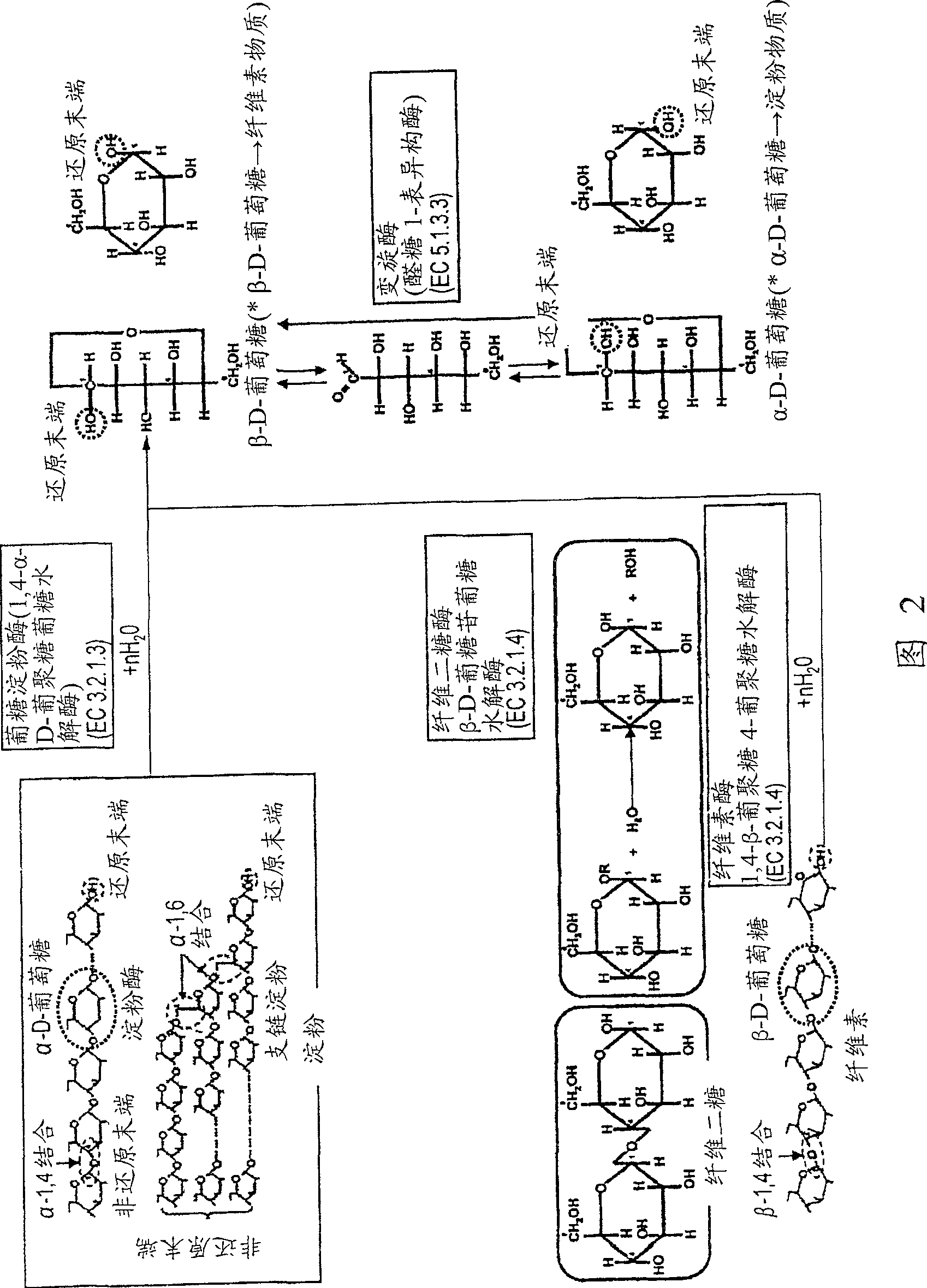 Fuel cell, electronic equipment, movable body, power generation system and thermoelectricity combination system