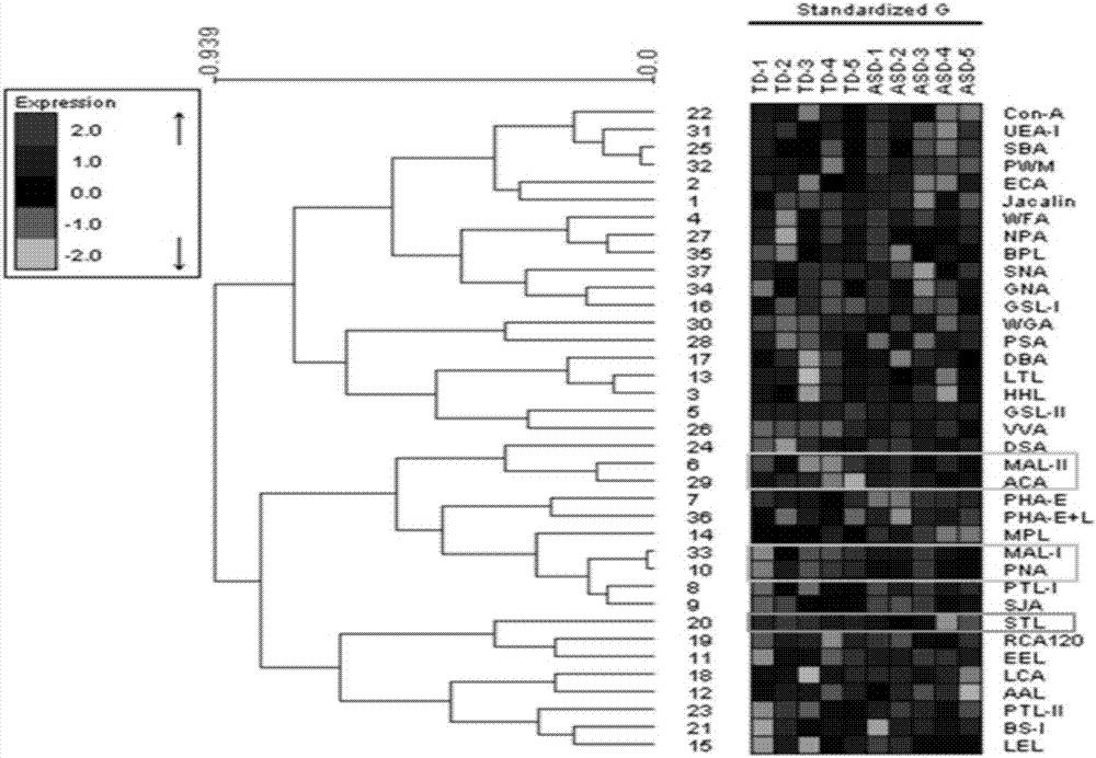 Application of a serum glycoprotein marker for autism