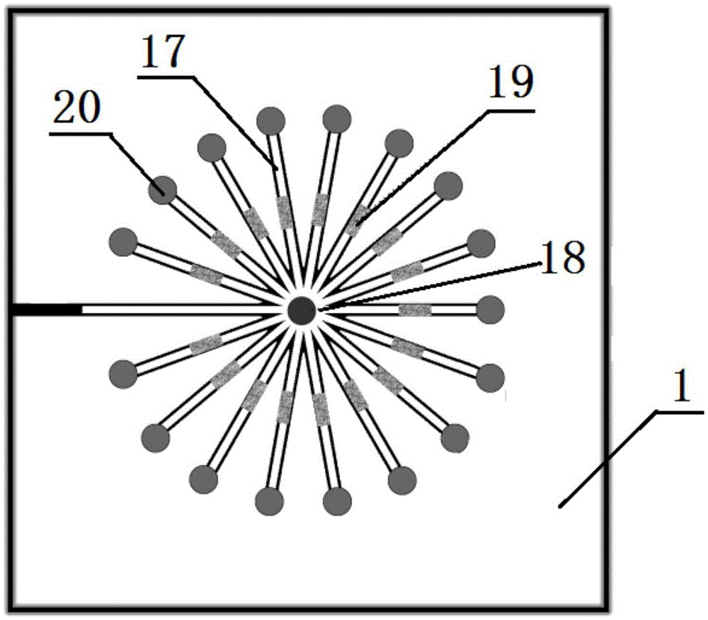 Chip analysis system for chip electrophoretic separation and plasma mass spectrometric detection