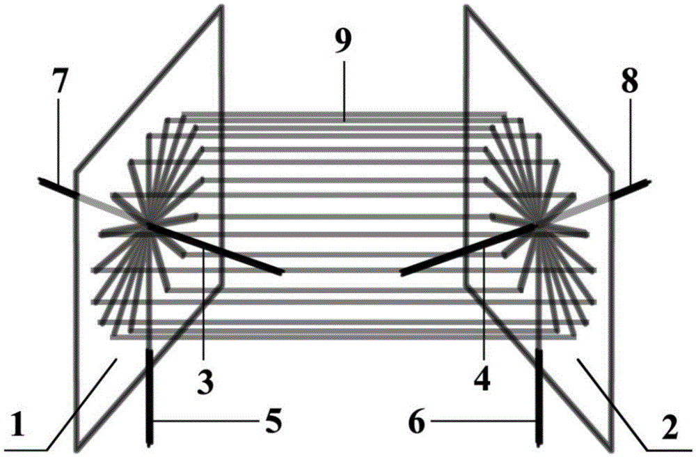 Chip analysis system for chip electrophoretic separation and plasma mass spectrometric detection