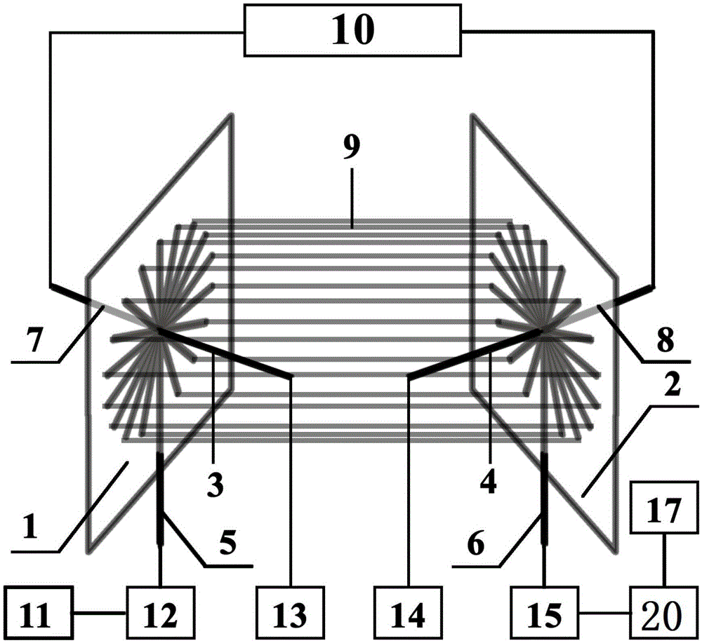 Chip analysis system for chip electrophoretic separation and plasma mass spectrometric detection