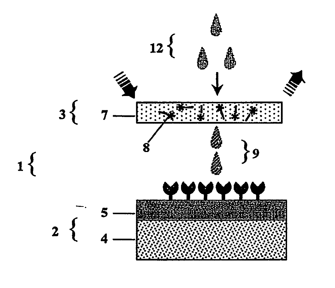 Rapid diagnostic device, assay and multifunctional buffer