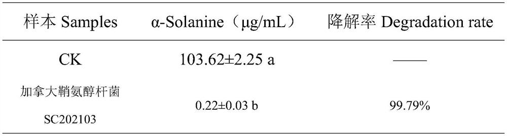 Sphingobacterium Canadae SC202103 strain for degrading alpha-solanine and application of spingobacterium Canadae SC202103 strain