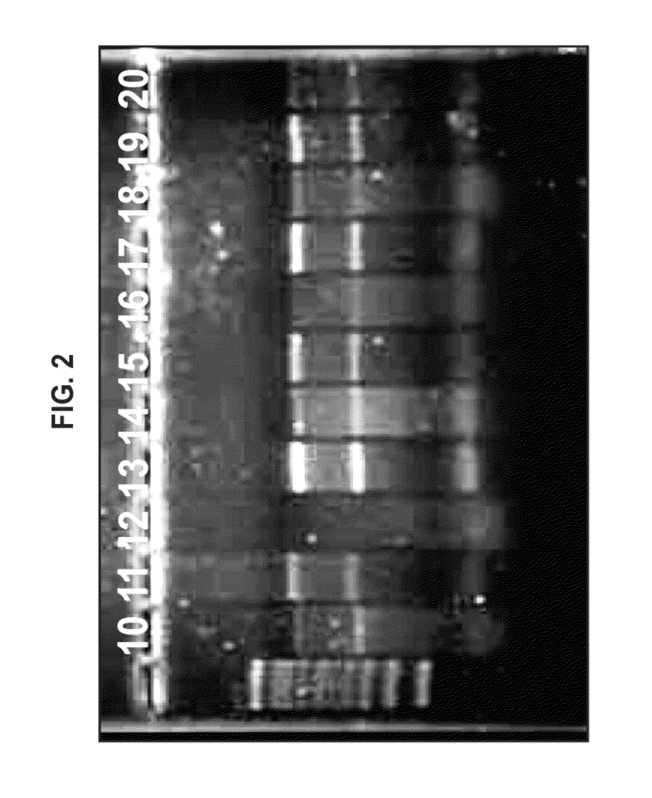 Cationic oil-in-water emulsions