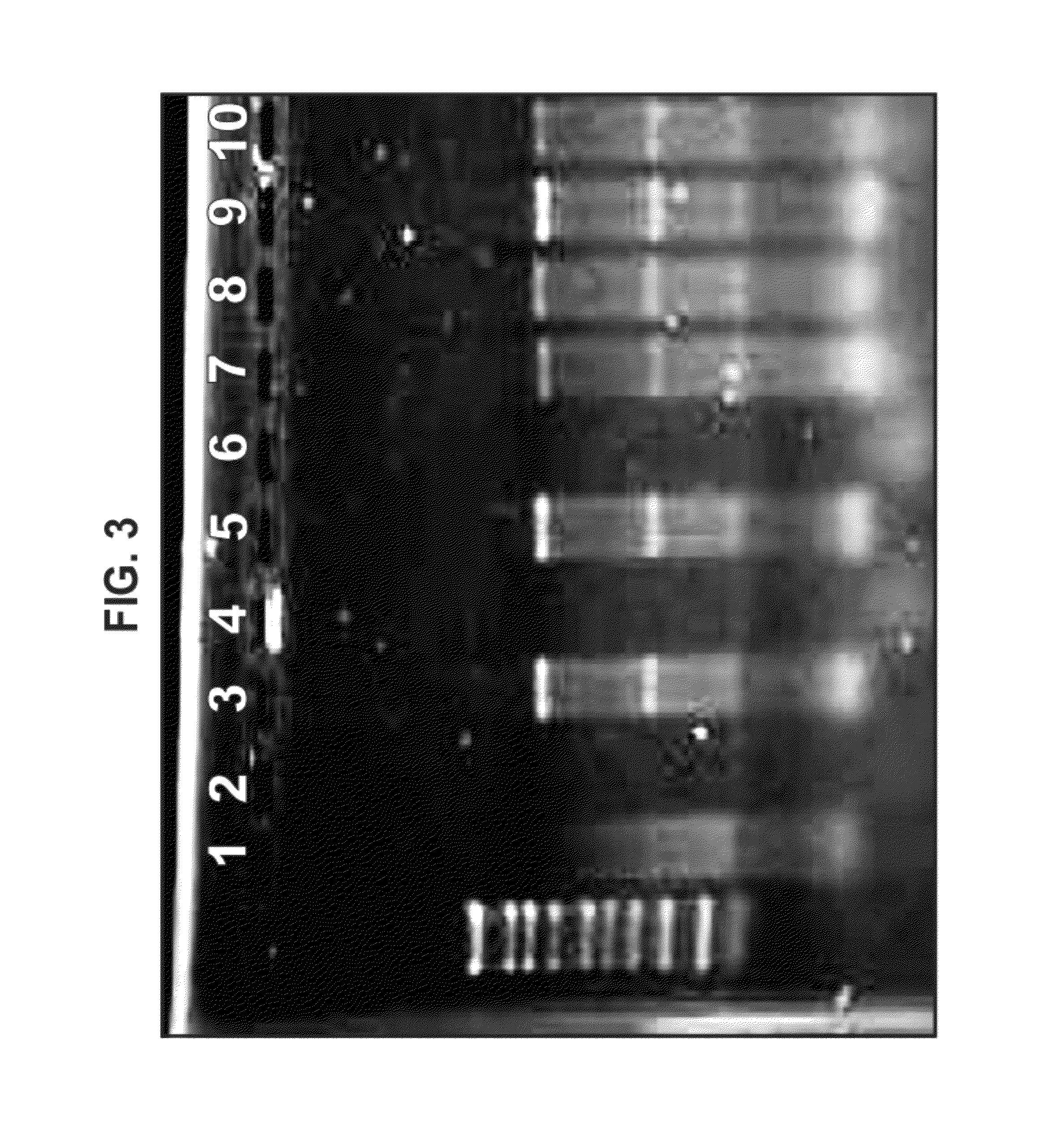 Cationic oil-in-water emulsions