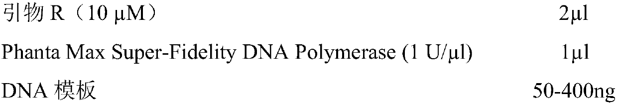 Method for detecting colorectal cancer driving gene and susceptible SNP (Single Nucleotide Polymorphism) based on nucleic acid mass-spectrometric technology