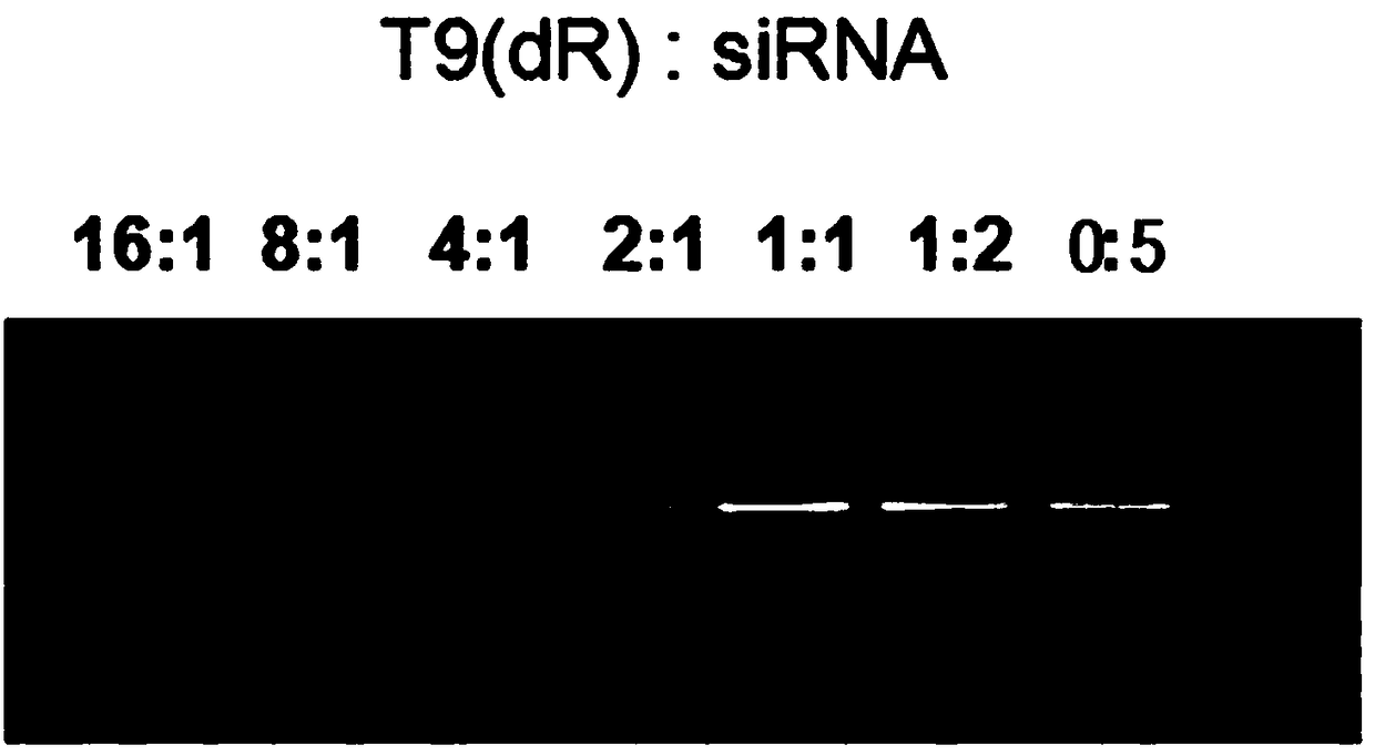 Delivery molecule and nanoparticle, preparation method and application