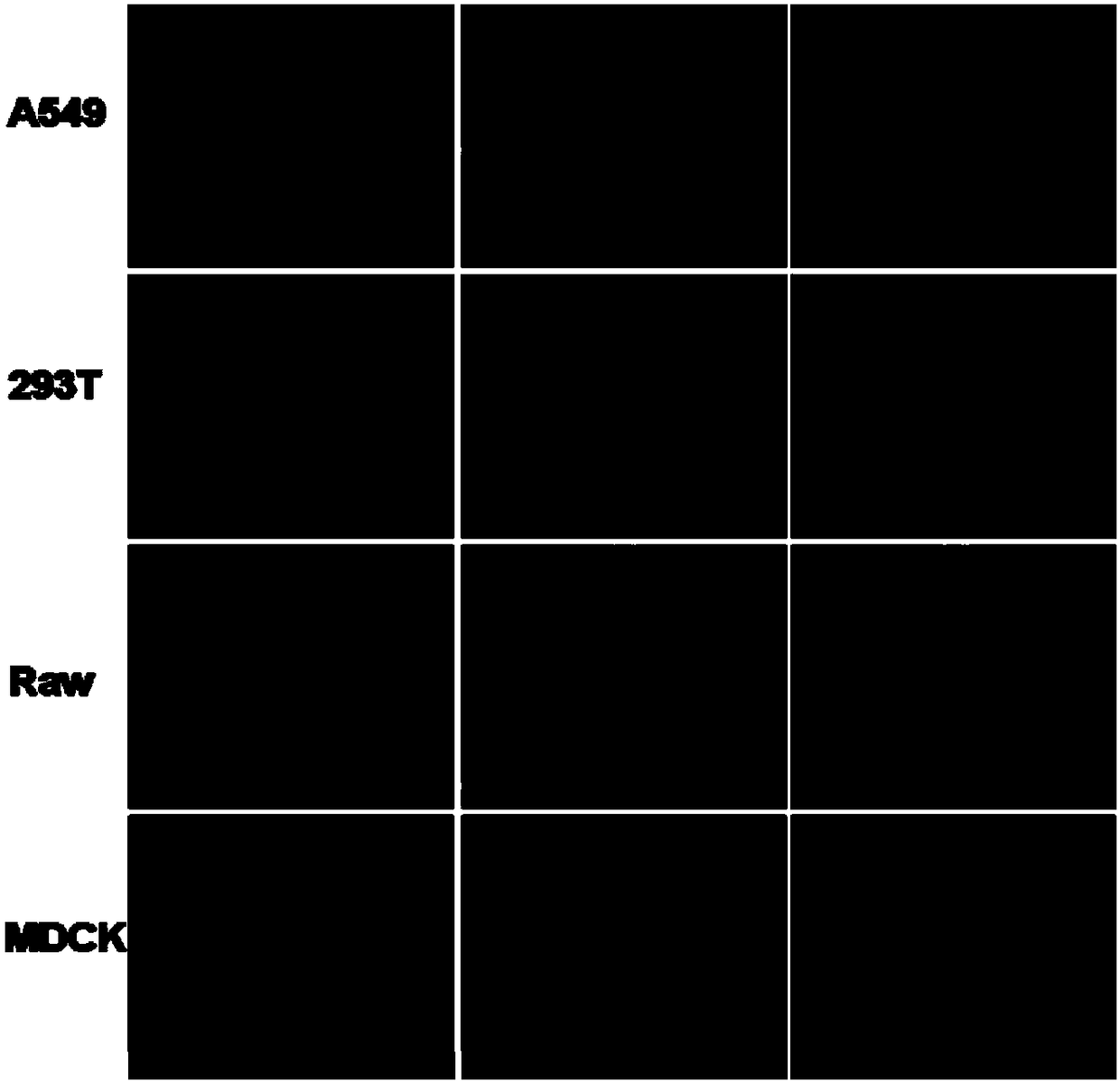 Delivery molecule and nanoparticle, preparation method and application