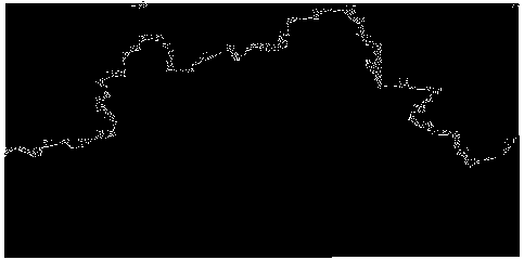 Vector map generation method and device, electronic design and computer readable medium