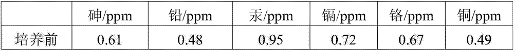 Method for preparing functional active peptide by glutamic acid fermentation solid residues