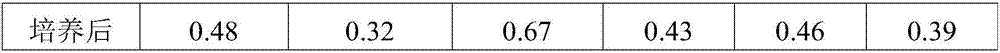 Method for preparing functional active peptide by glutamic acid fermentation solid residues