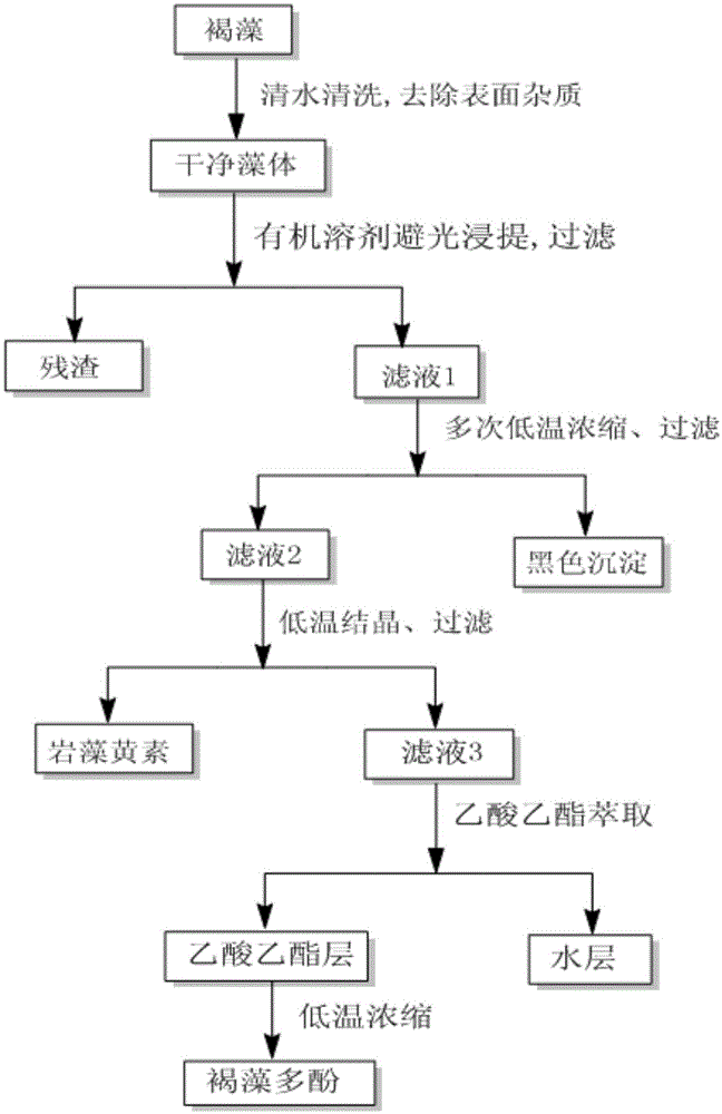 Method for comprehensively extracting fucoxanthin and brown alga polyphenol from gulfweed