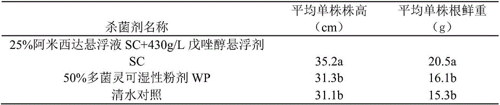 Cultivation method for preventing leaf spot disease of atractylodes macrocephala koidz