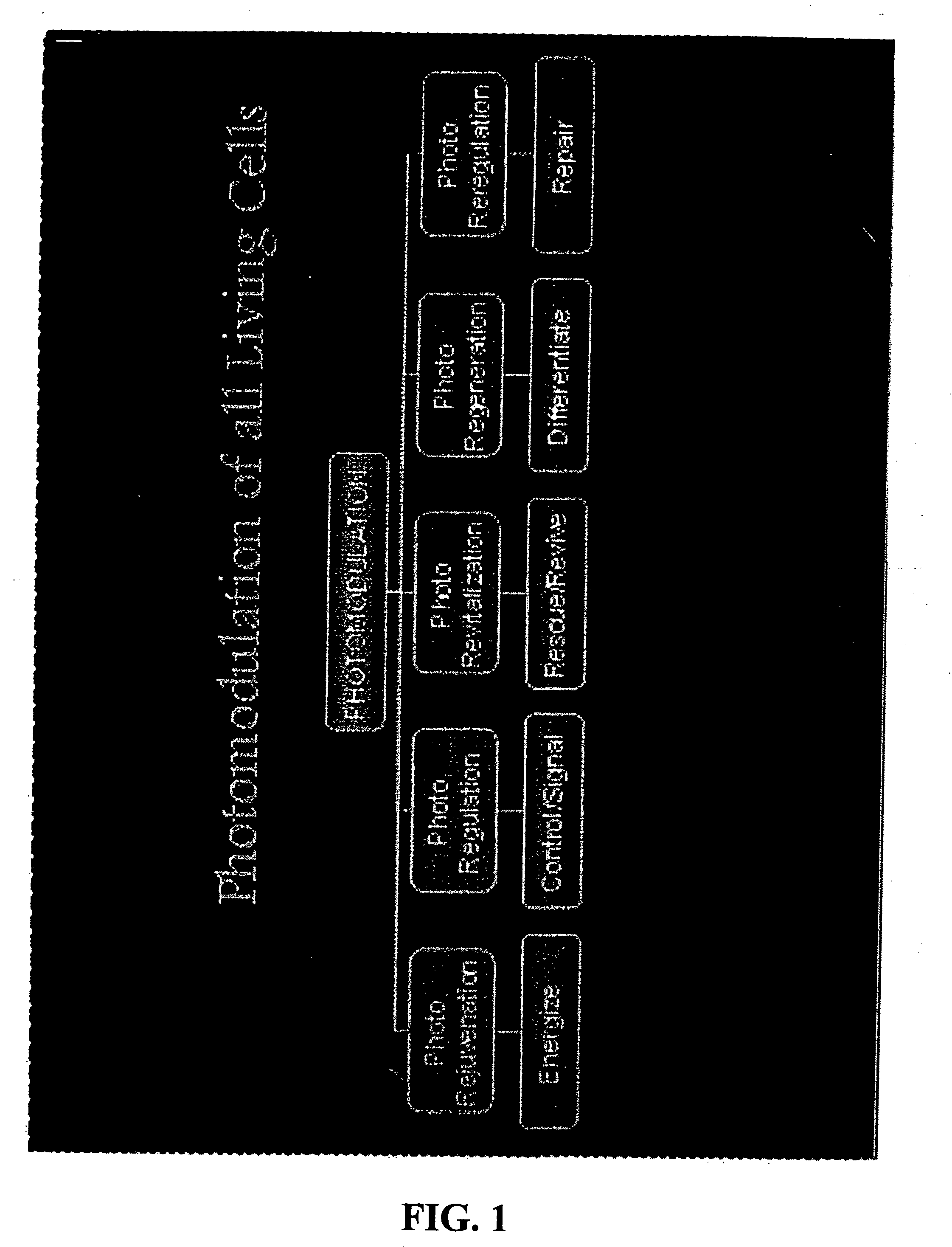 Low intensity light therapy for treatment of retinal, macular, and visual pathway disorders