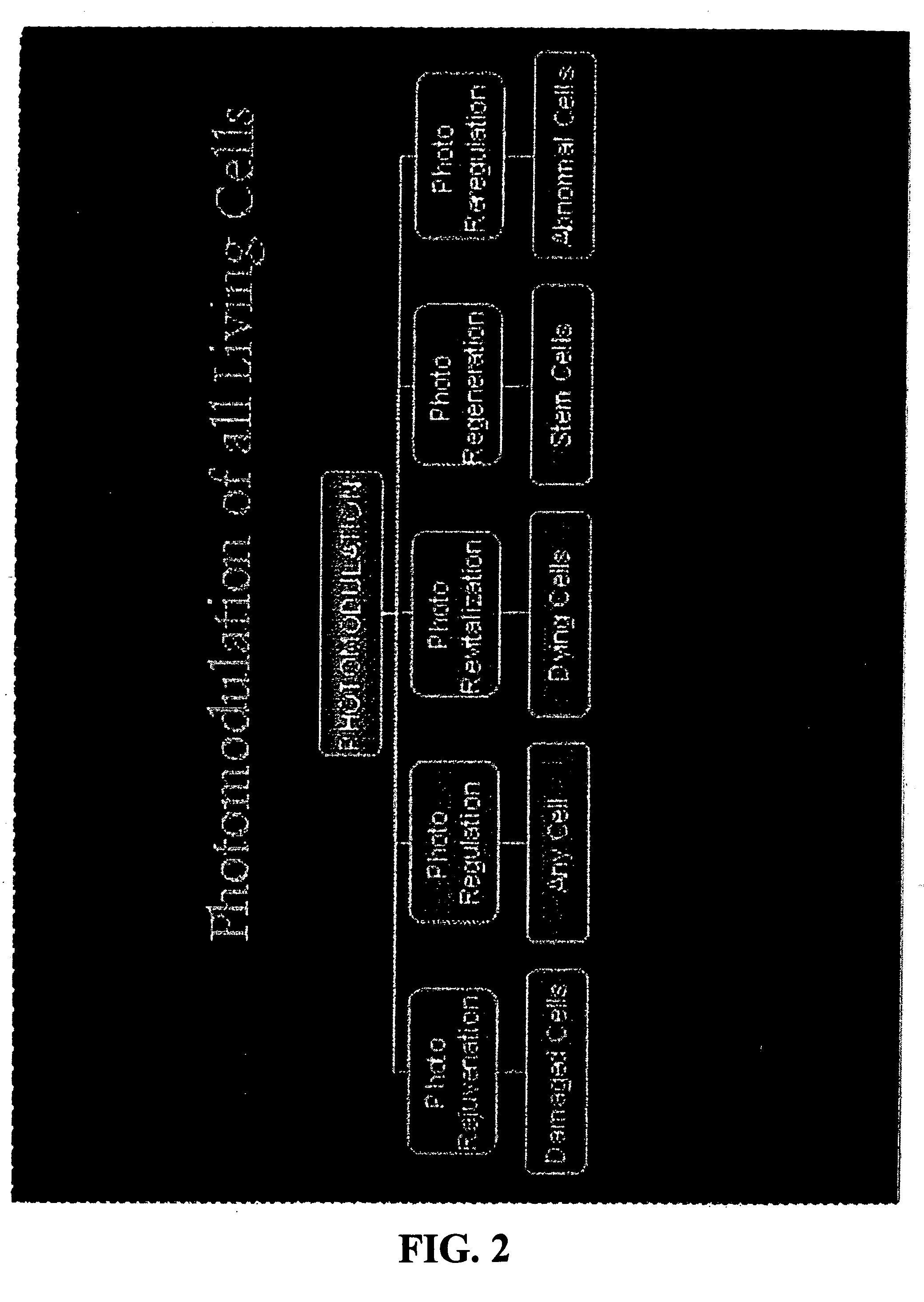 Low intensity light therapy for treatment of retinal, macular, and visual pathway disorders