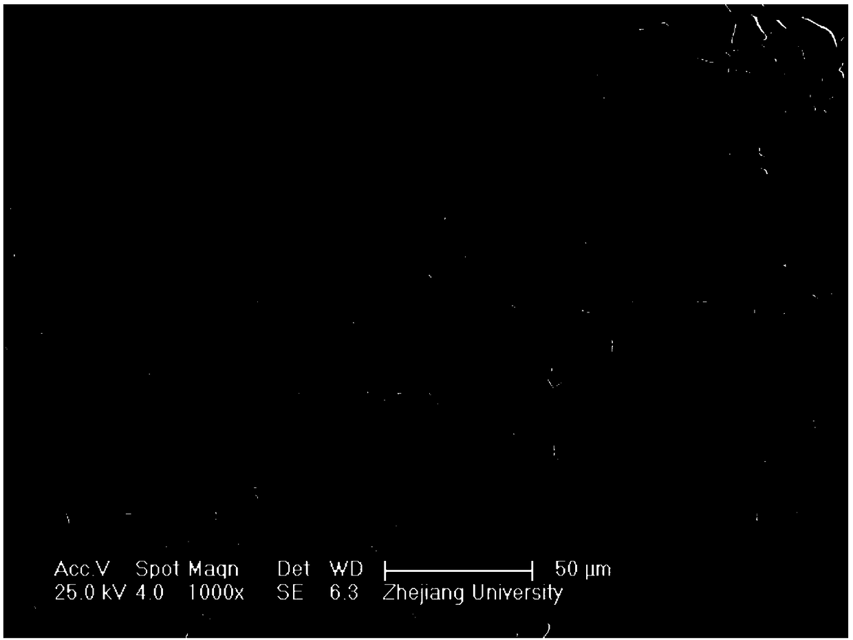 Lithium bis(fluorosufonyl)imide/1, 3-dioxolane lithium battery gel electrolyte, preparation method thereof and battery