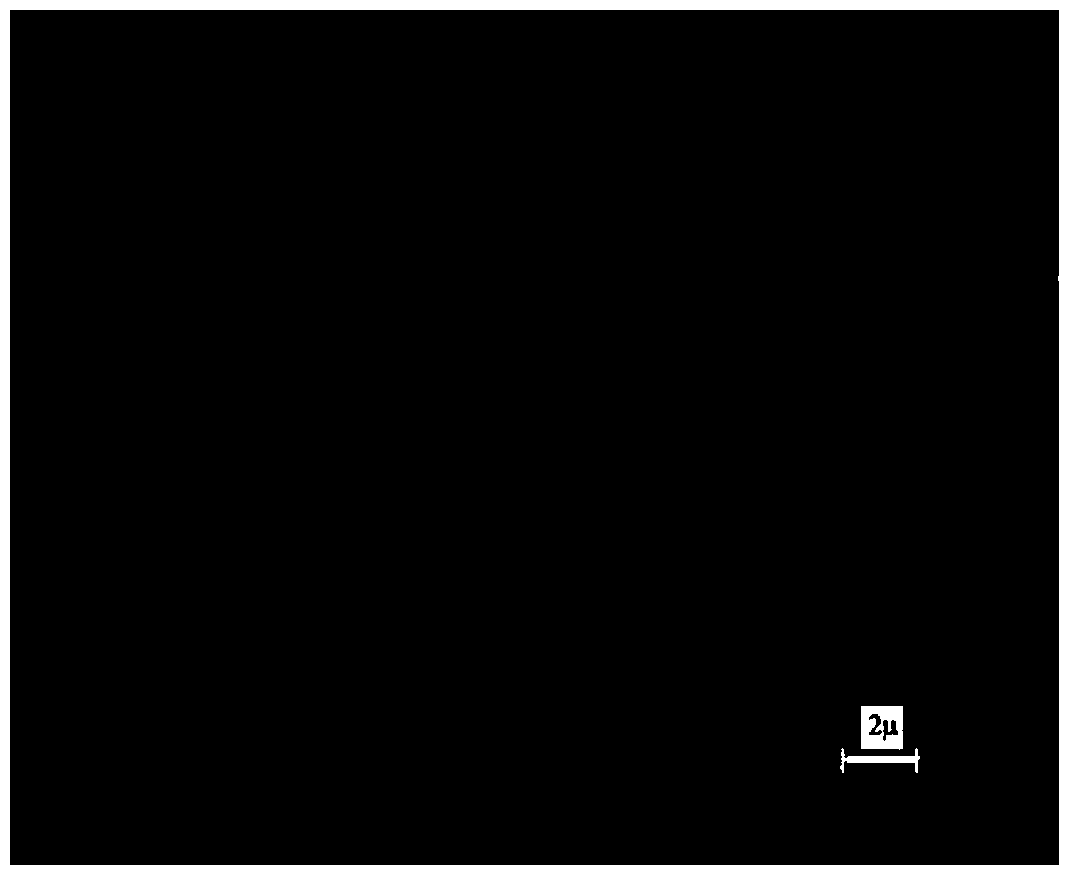 Bridged polysilsesquioxane microspheres