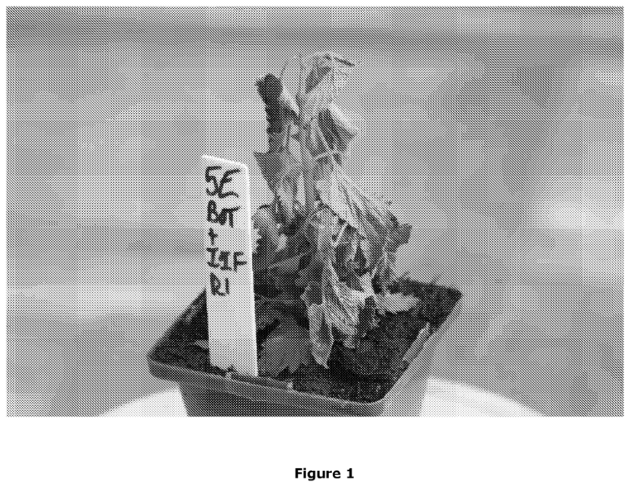 Agricultural compositions and methods related thereto