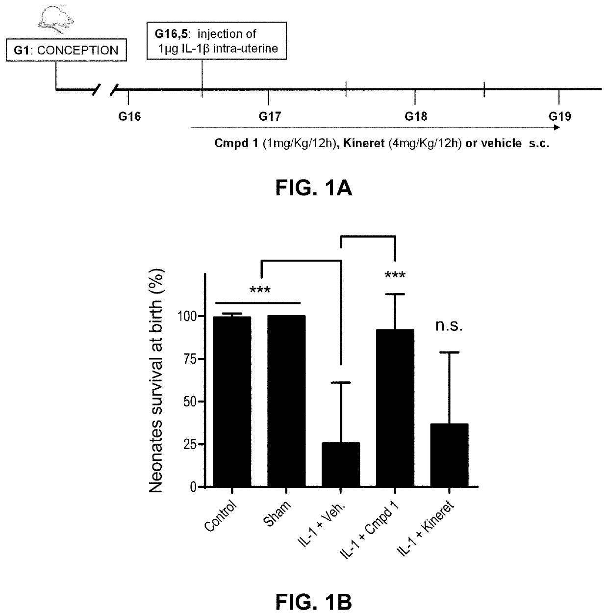 Methods for Reducing Perinatal Morbidity and / or Mortality