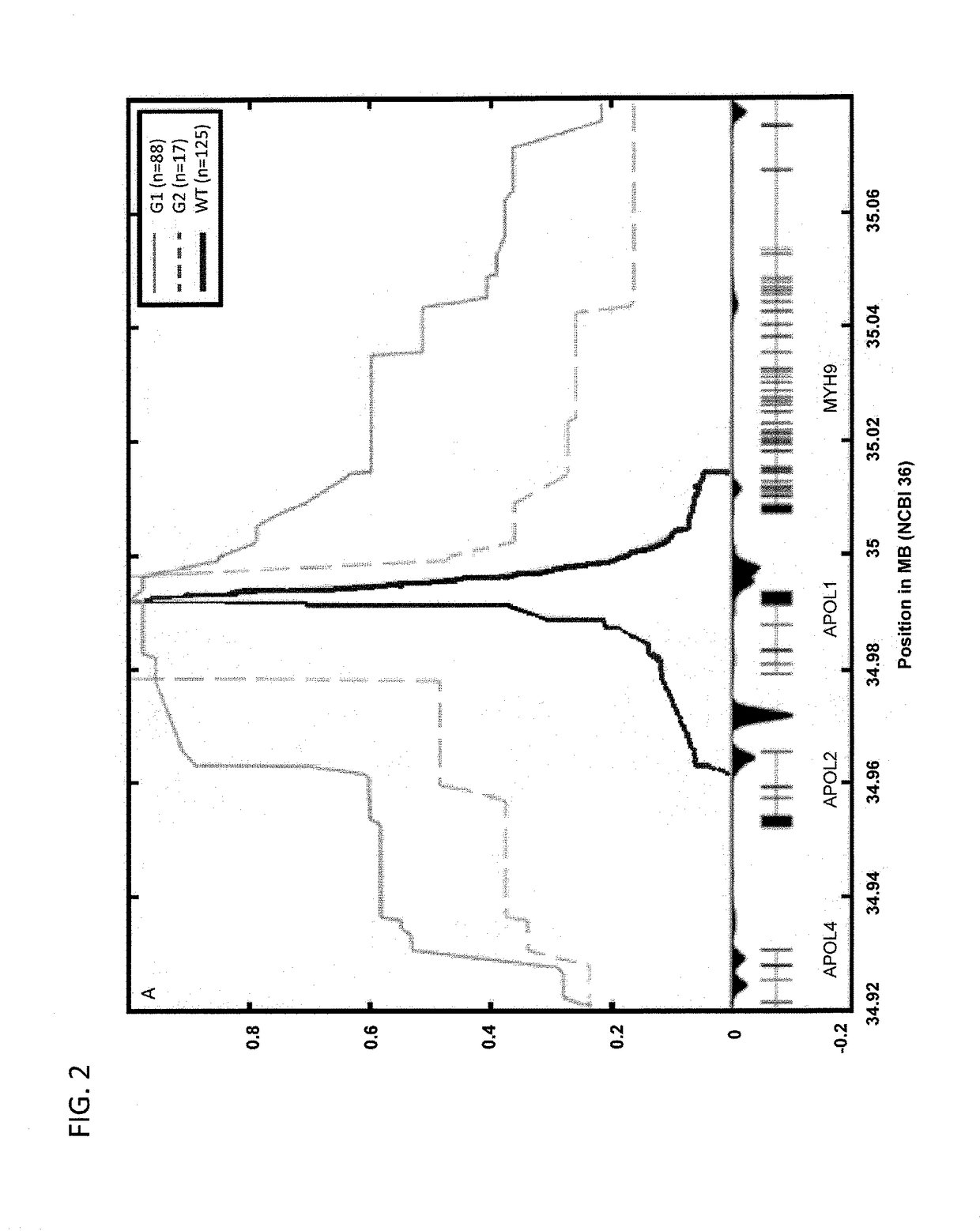 Methods of predicting predisposition to or risk of kidney disease