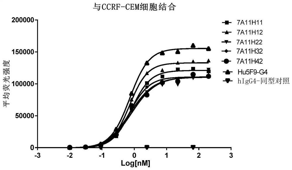 CD47 targeting antibody and application thereof