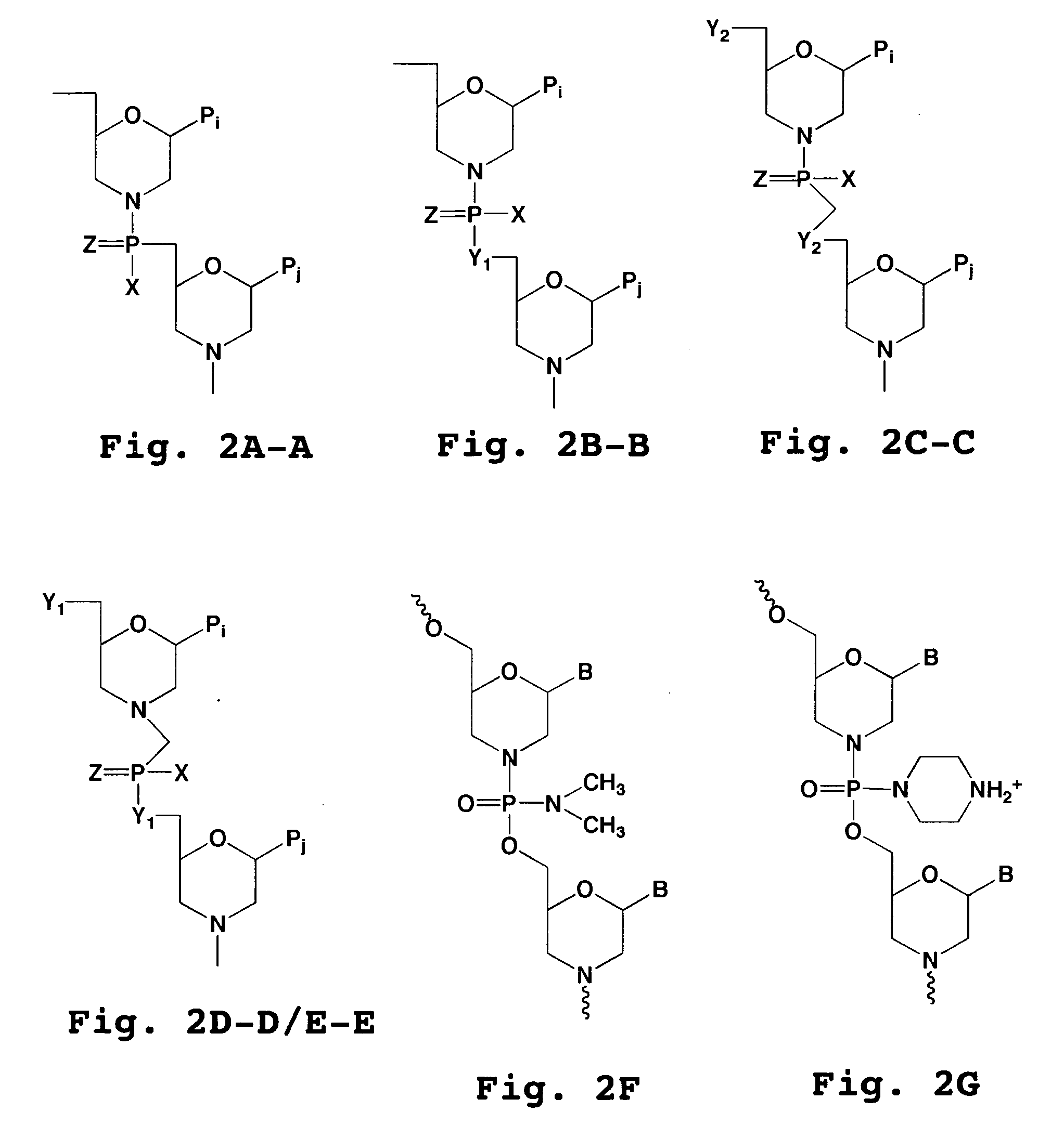 Splice-region antisense composition and method