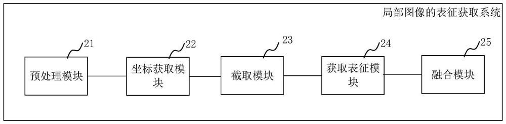 Local image representation acquisition method and system, medium and device