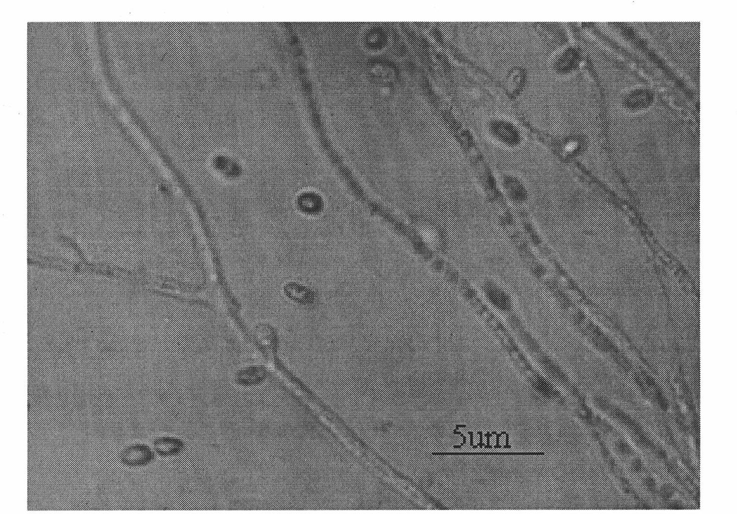 Efficient stable indoor inoculation method for Ustilaginoidea virens and special strain