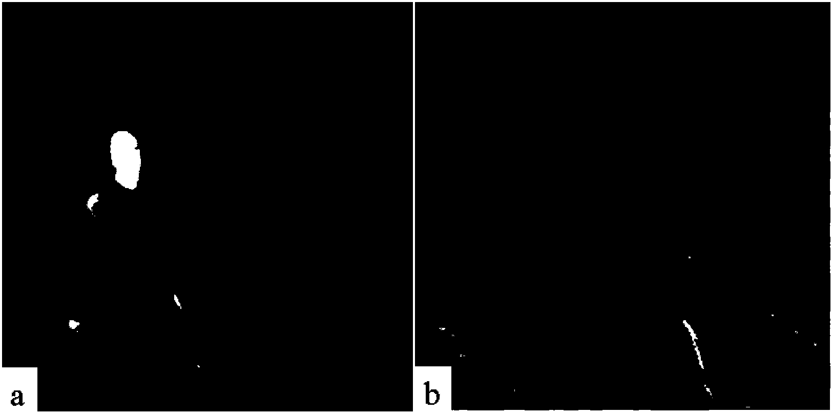 Video image fusion performance evaluation method based on three-dimensional Log-Gabor conversion