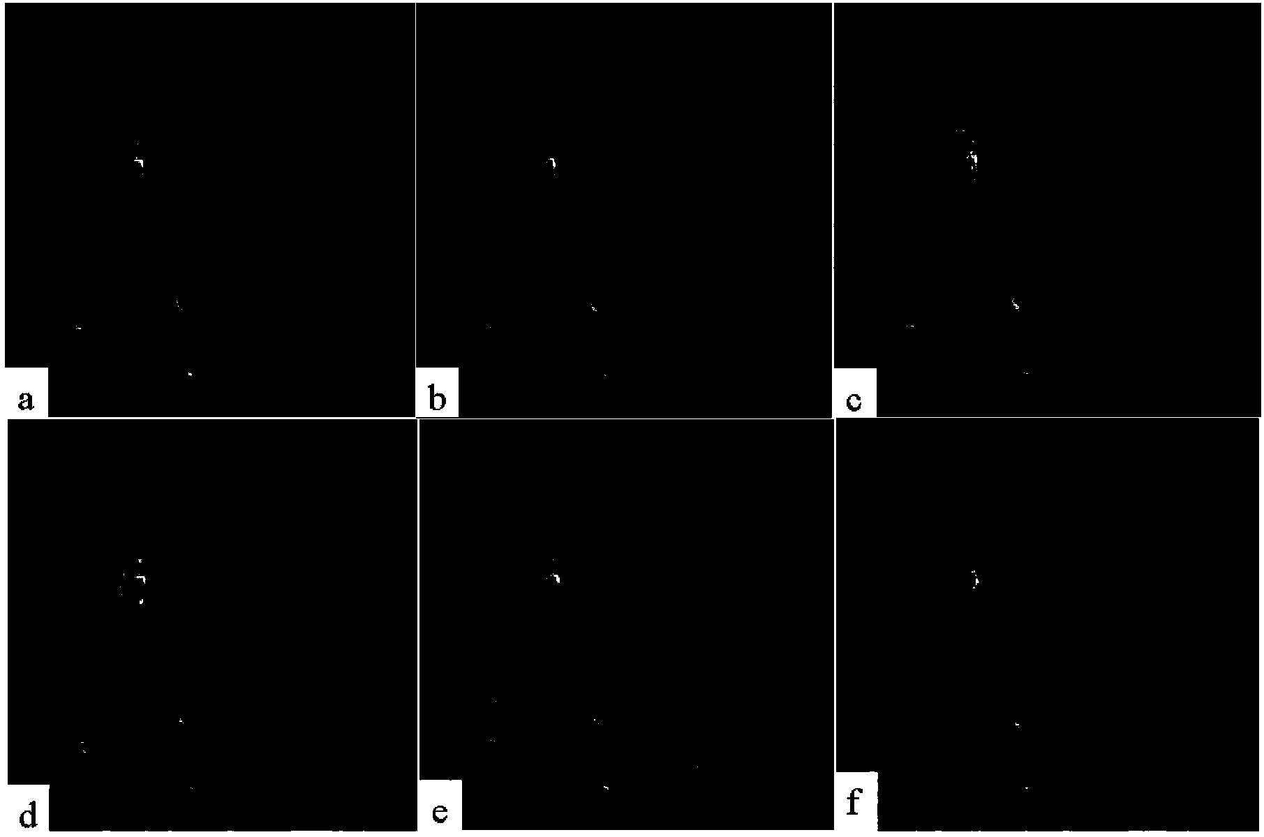 Video image fusion performance evaluation method based on three-dimensional Log-Gabor conversion