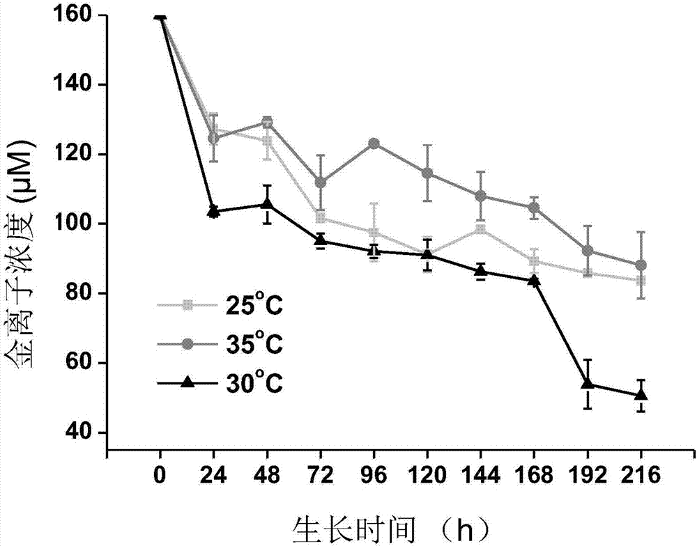 Strain GX-3 and method for recycling nano gold from gold-ion-bearing wastewater