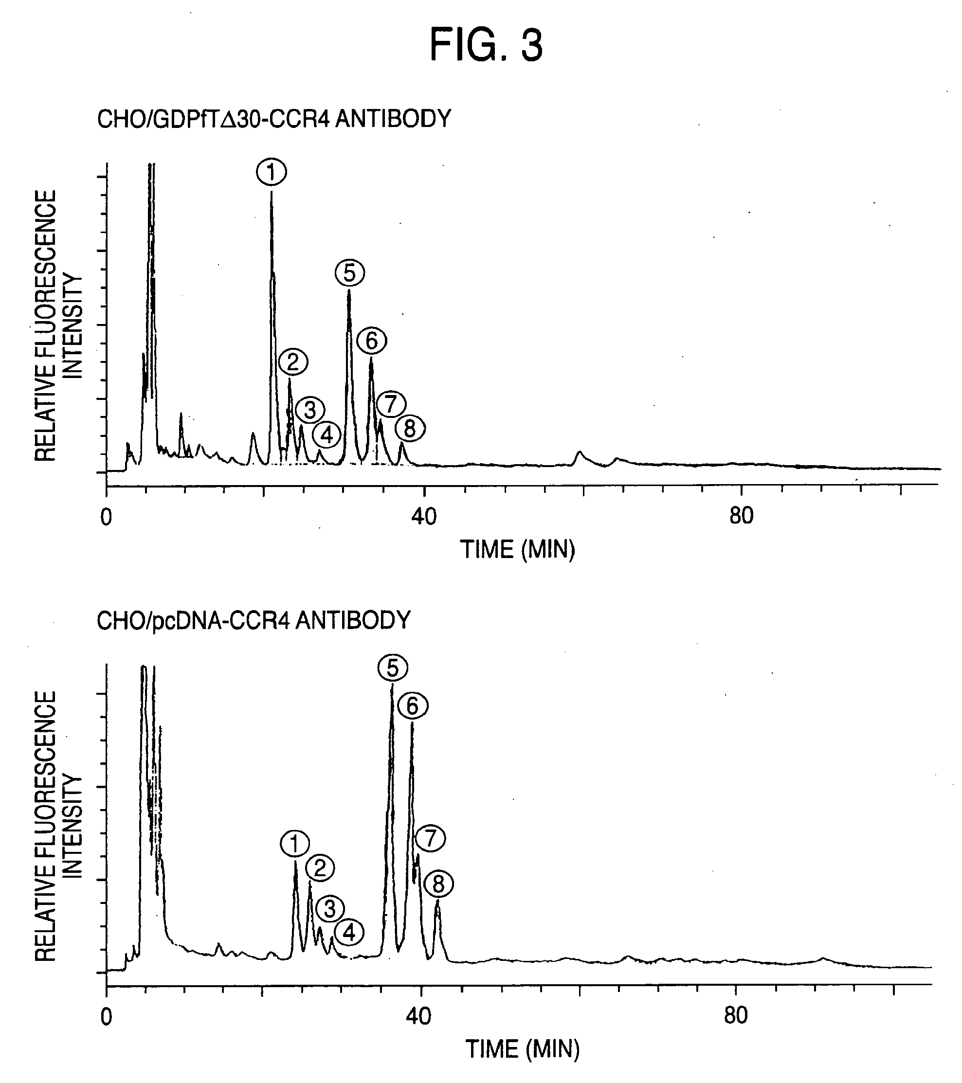 Cells in which activity of the protein involved in transportation of GDP-fucose is reduced or lost