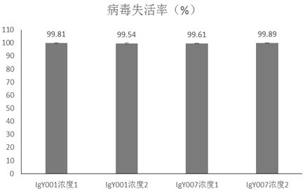 Igy neutralizing antibody against novel coronavirus and preparation method, preparation and application thereof